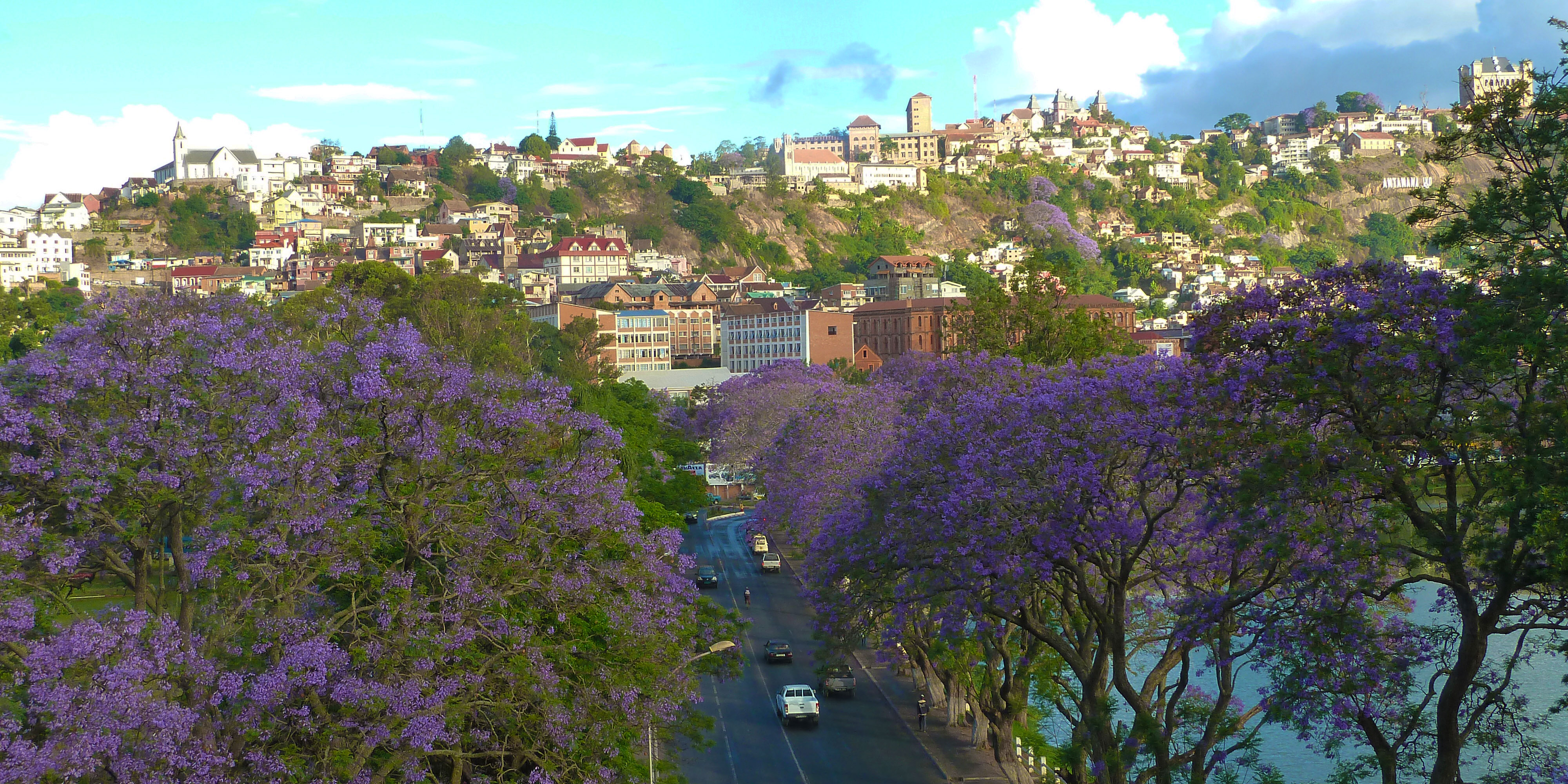 Je vliegt naar de hoofdstad Antananarivo, (afgekort: Tana). 
                De chauffeur wacht je op en brengt je naar het hotel gelegen in de stad